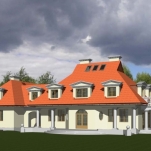 widok z ogrodu